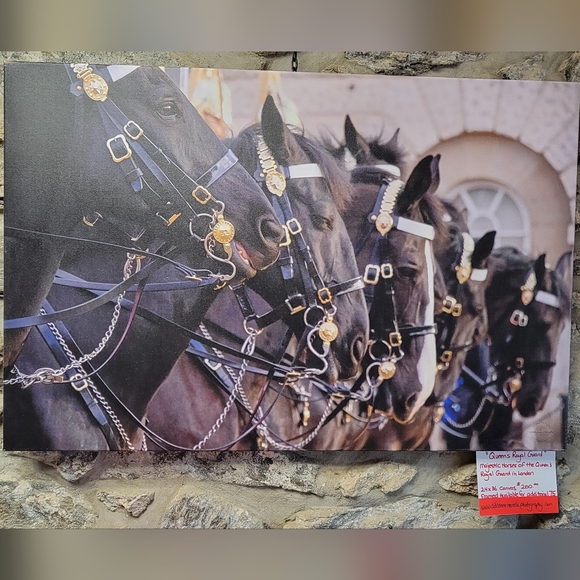 Original Photography Horses